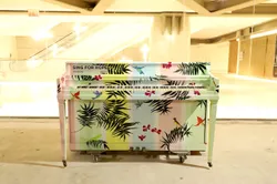 Tropical Dreams